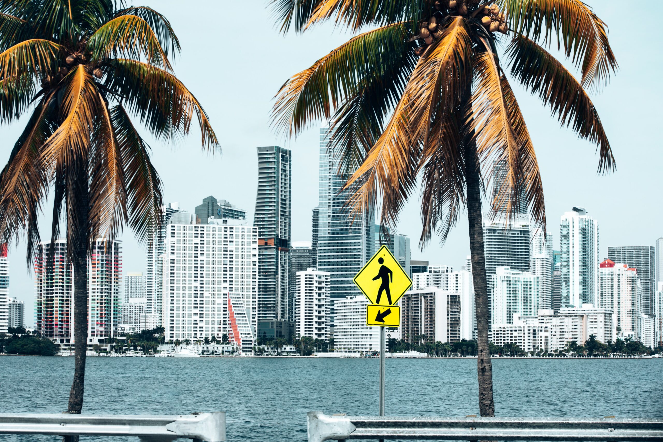 Foto de One Shot en Pexels_MIAMI